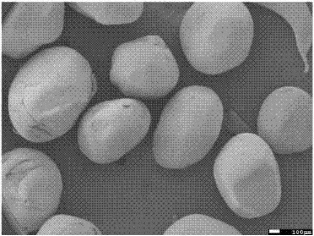 Preparation method of chitin porous hemostatic microsphere