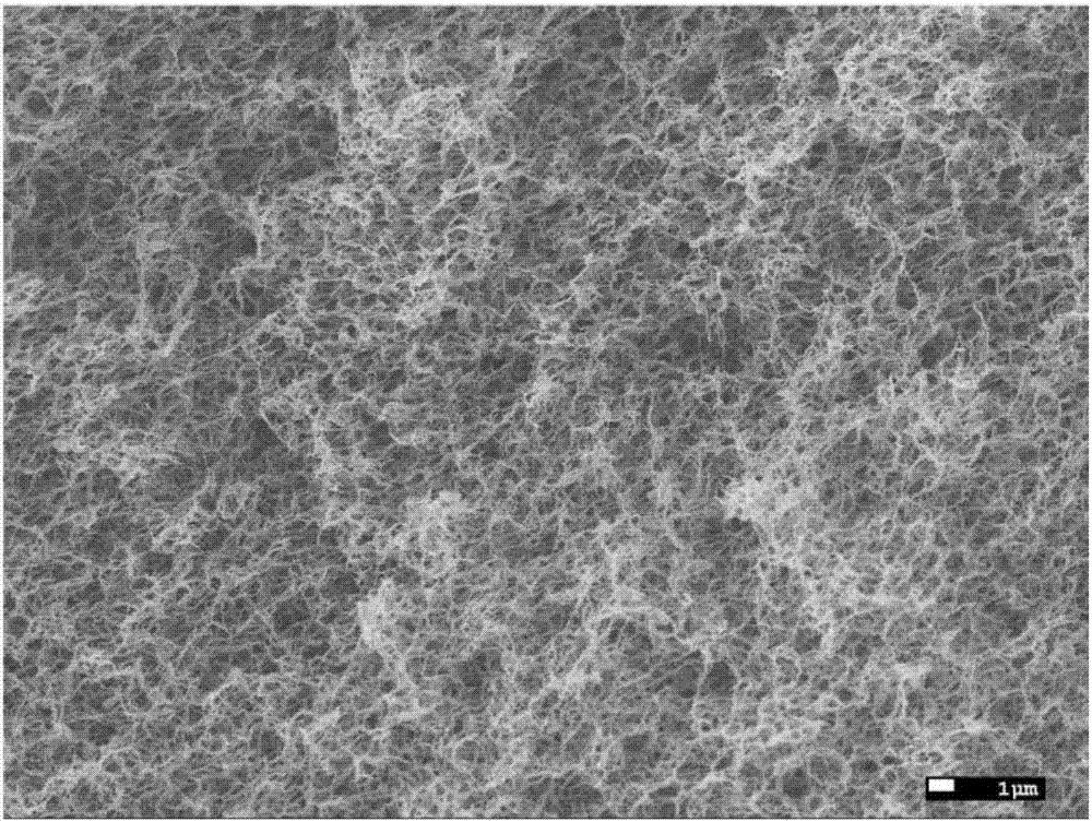 Preparation method of chitin porous hemostatic microsphere