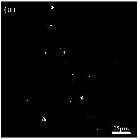 Cu-containing high-conductivity and high-electromagnetic-shielding-property wrought magnesium alloy and preparation method thereof