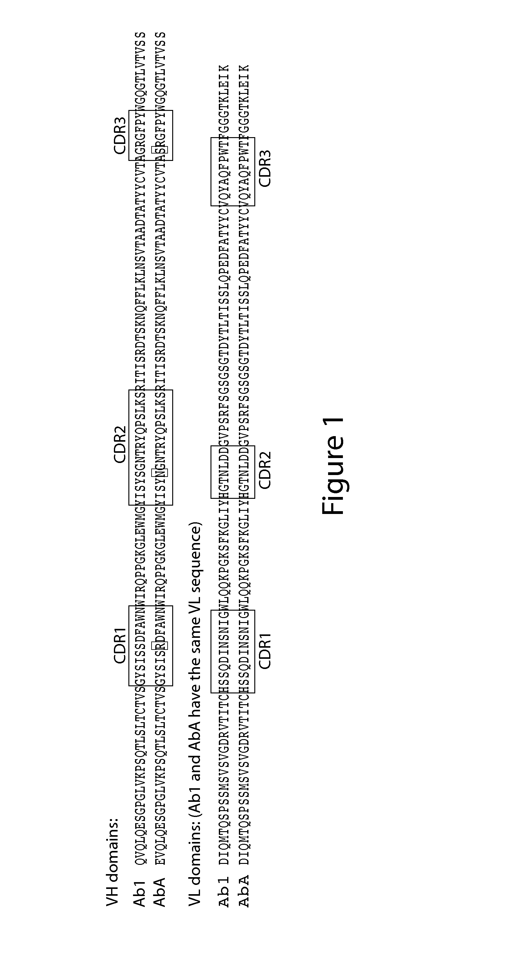 Anti-egfr antibodies and antibody drug conjugates