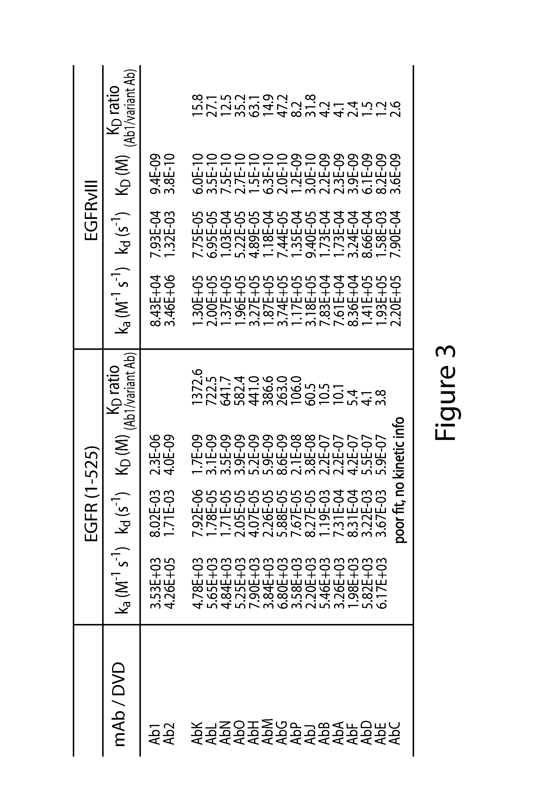 Anti-egfr antibodies and antibody drug conjugates