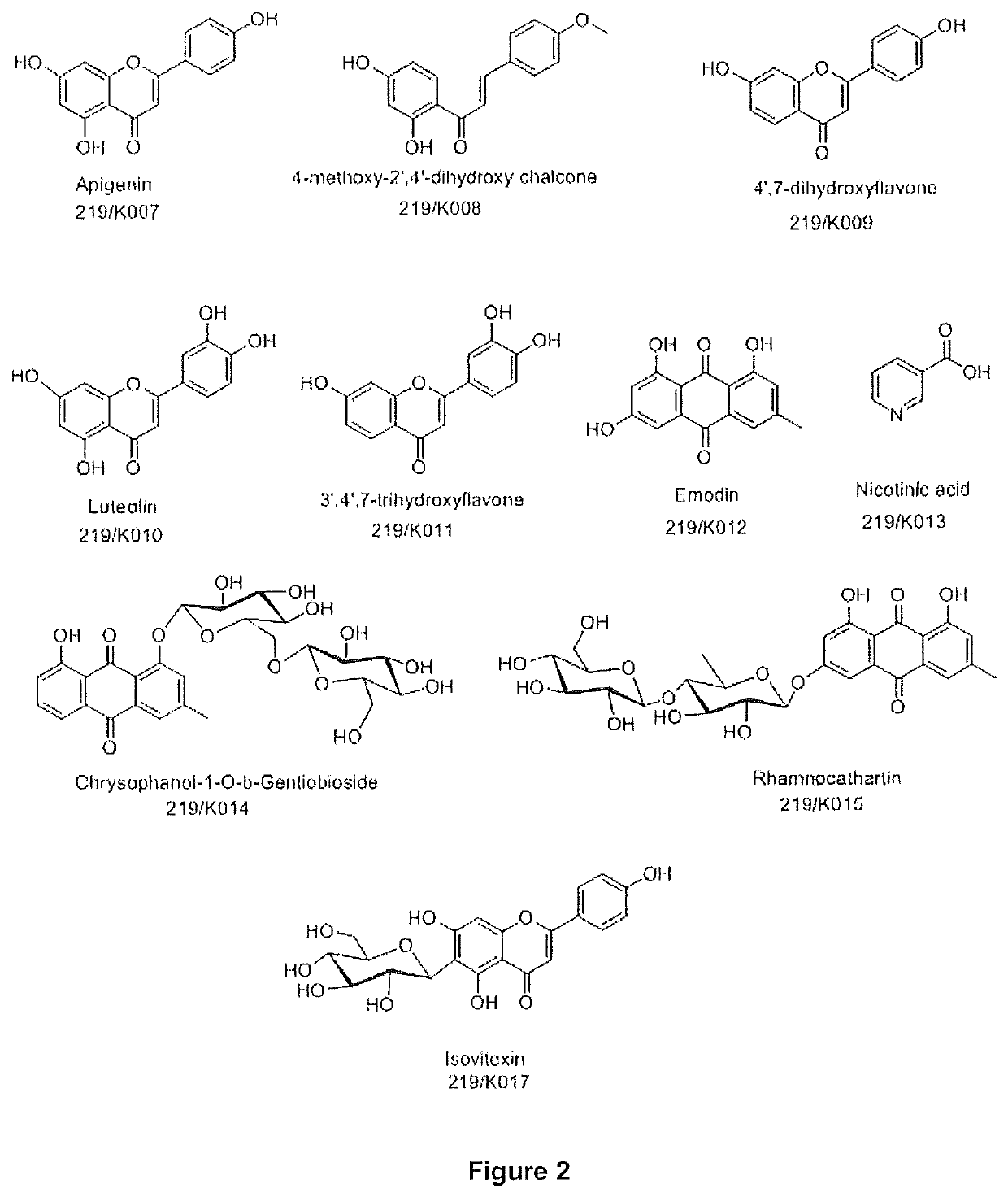 Bioactive extract, fraction of cassia occidentalis and formulation thereof for bone regeneration