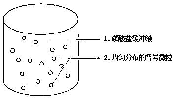 Group of esophageal cancer detection markers and application thereof in preparation of esophageal cancer screening kit