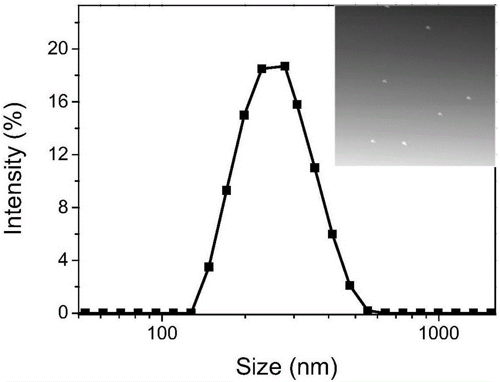 Preparation method of insoluble egg protein aggregate particles and application thereof