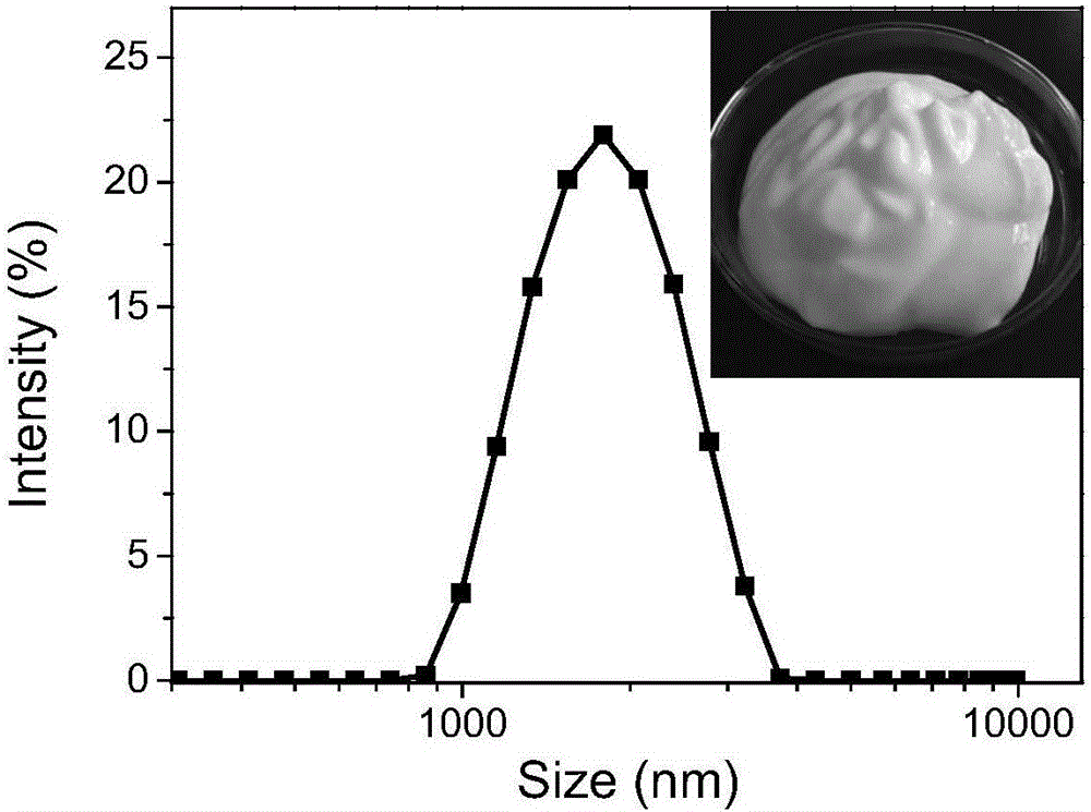 Preparation method of insoluble egg protein aggregate particles and application thereof