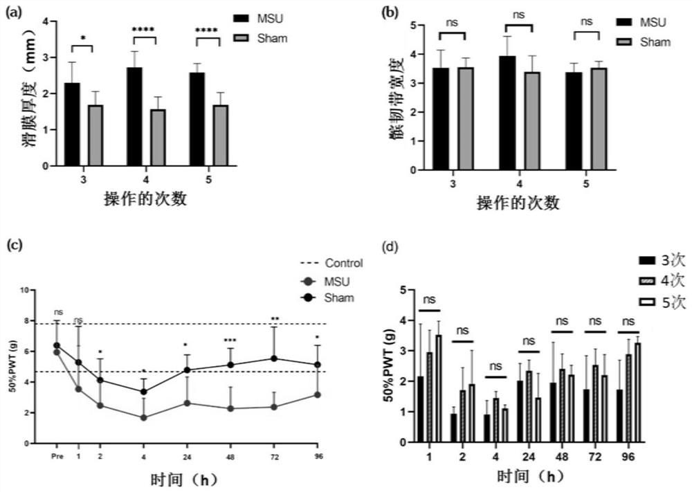 Construction method of persistent gouty arthritis animal disease model