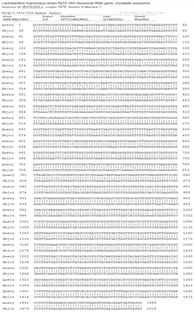 A ciliated Lactobacillus rhamnosus with mast cell activity regulation and its use