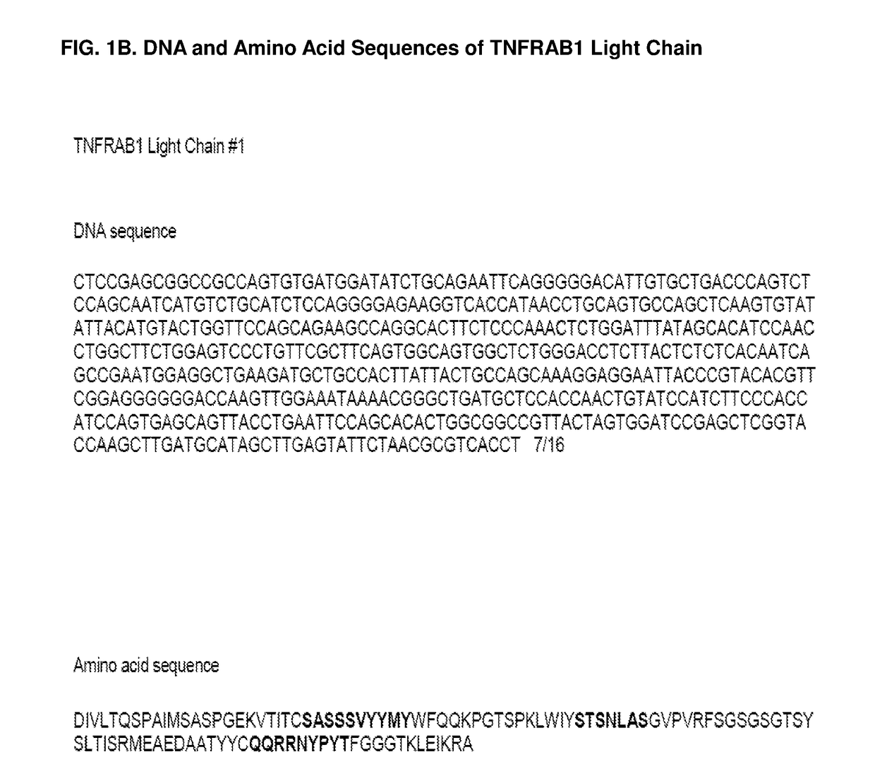 Antagonistic Anti-tumor necrosis factor receptor superfamily antibodies