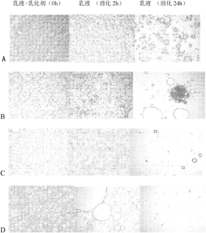 Compound emulsifier as well as preparation method and application thereof