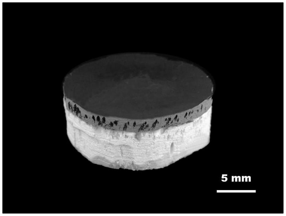 Chitosan-based gel material with double-layer-anisotropic structure as well as preparation method and application of chitosan-based gel material