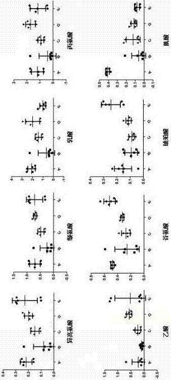 Construction method of 1H-NMR (1 hydrogen-nuclear magnetic resonance) fingerprint spectrum of hippocampus, and application