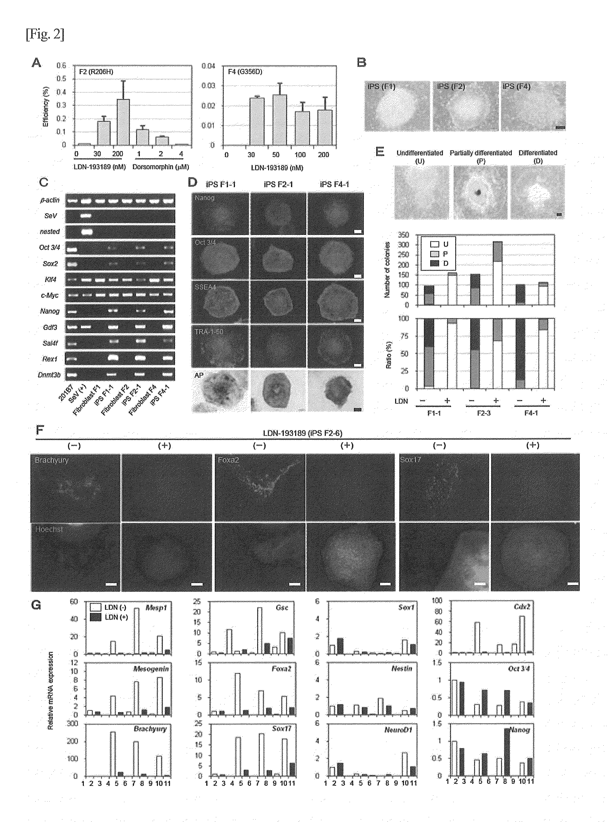 Method for screening for substance