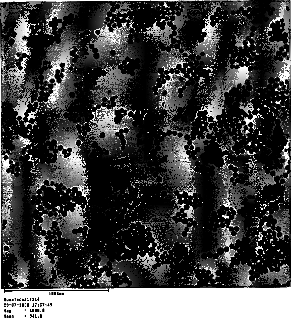 Preparation method of high-gloss high-stability Elsinochrome silicon oxide nano granule and application thereof in preparing intravenous injection agent