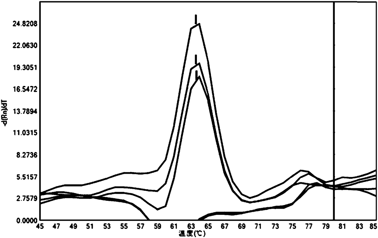 Multi-quenching fluorescent probe and method for detecting target nucleic acid sequence