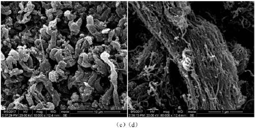 Method for preparing multi-wall carbon nanotubes