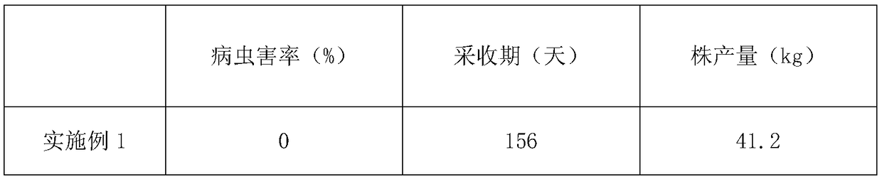 Planting method for promoting delayed picking of kiwifruit