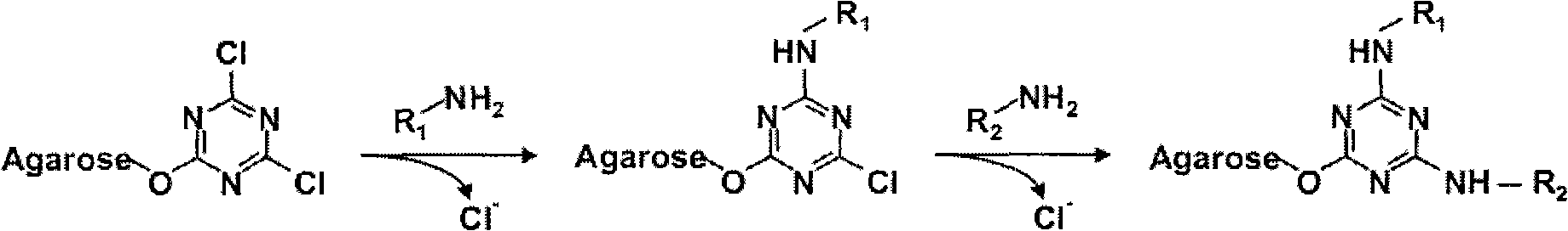 Antibody separating and purifying medium and preparation method thereof