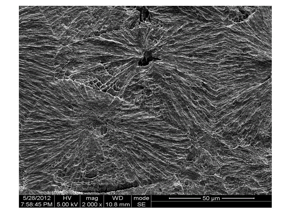 High pressure forming method for increasing crystallinity of polylactic acid