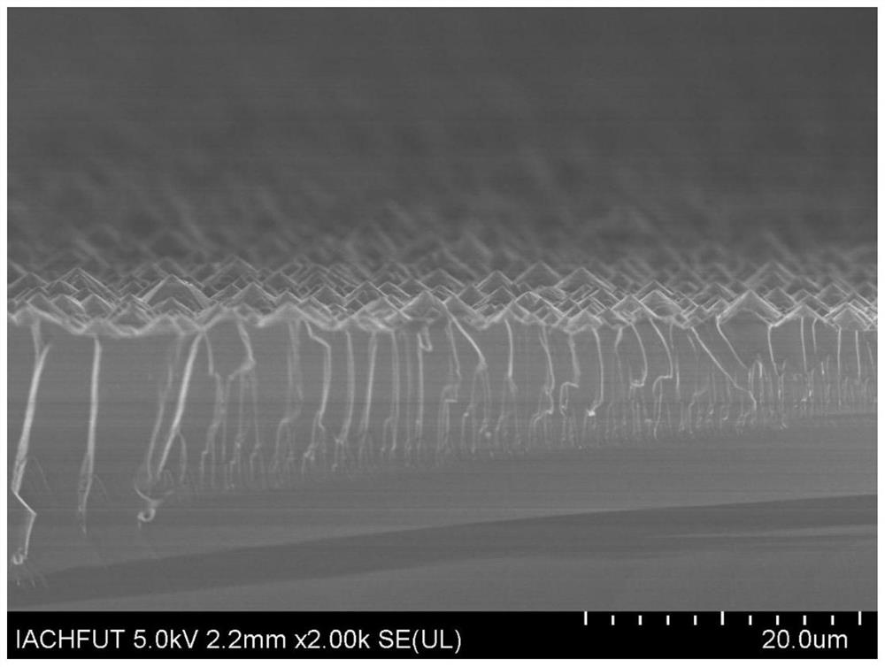 MoS2/TiO2/Si pyramid array photoelectric catalyst and preparation method thereof