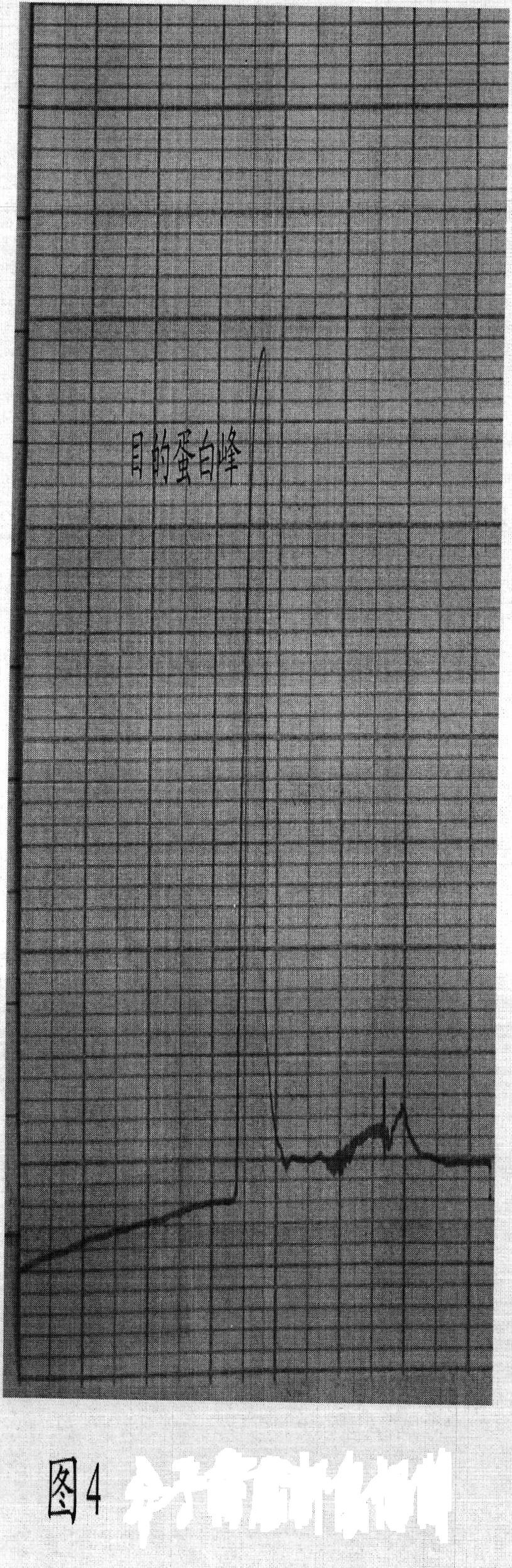 Method for producing recombinant human serum albumin-interferon alpha 2b