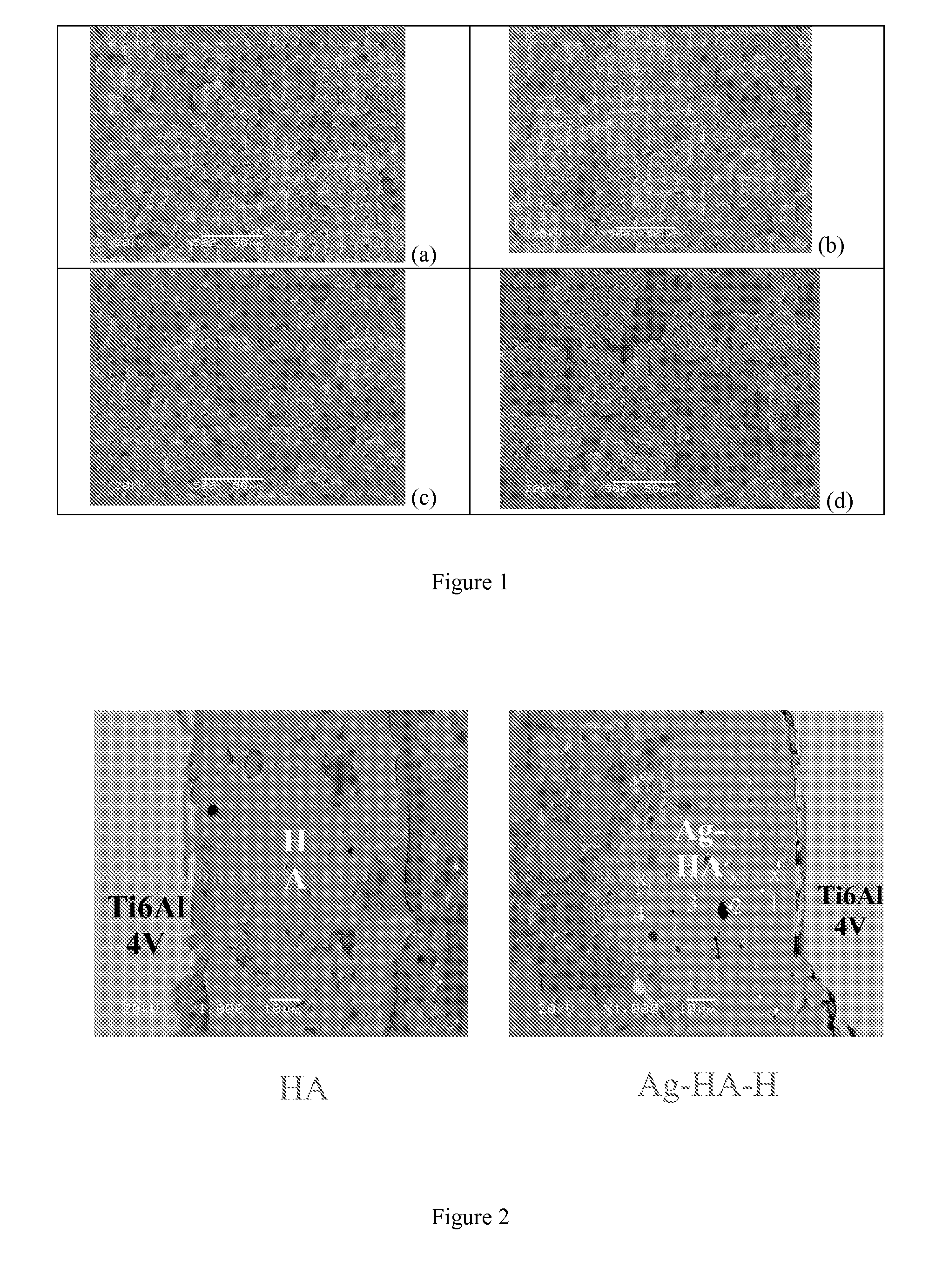 Coating and coating method