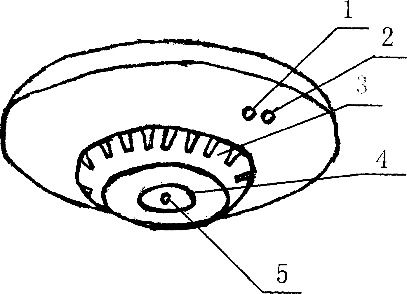 Fire automatic warning device and its method for visual intelligent composite fire extinguishing