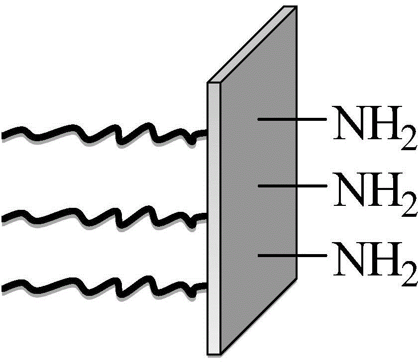 Polymer grafting modified silicon dioxide nanosheet as well as preparation method and use thereof