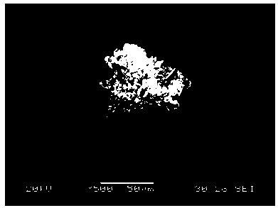 Method for detecting large-sized inclusions in high carbon steel