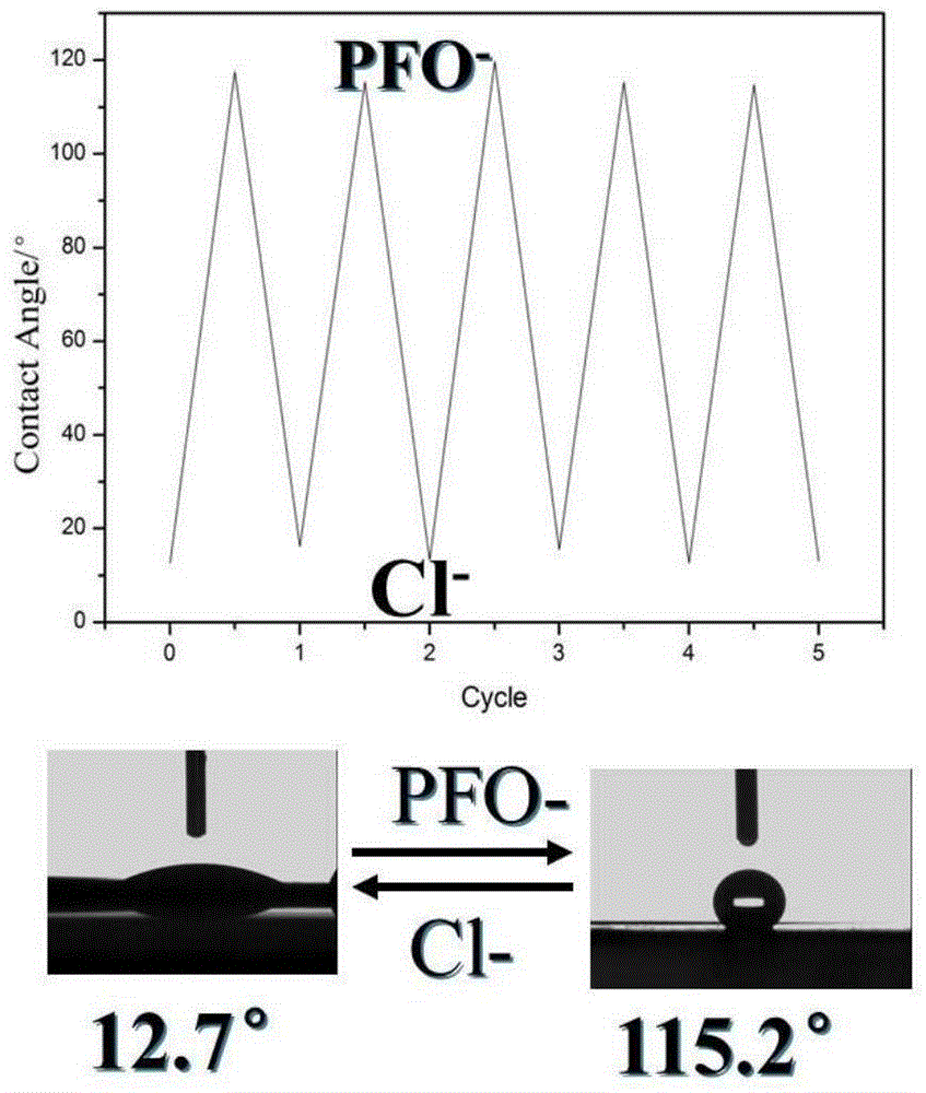 A kind of hydrophilic/hydrophobic conversion polyelectrolyte/titanium dioxide composite nanofiltration membrane and its preparation method