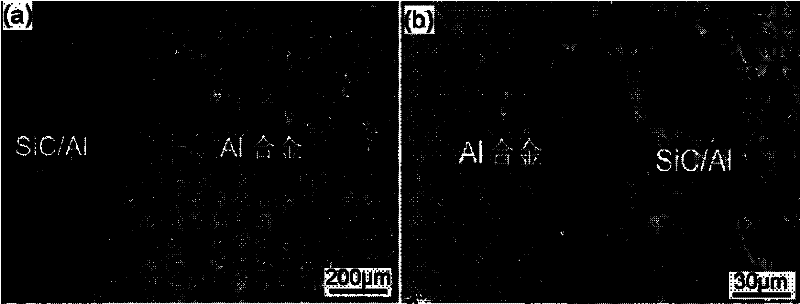 Method for preparing selectively enhanced aluminum-based composite from ceramic particles