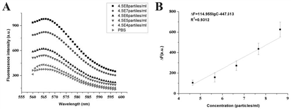 DNA nano-molecule machine for exosome and surface protein analysis and application