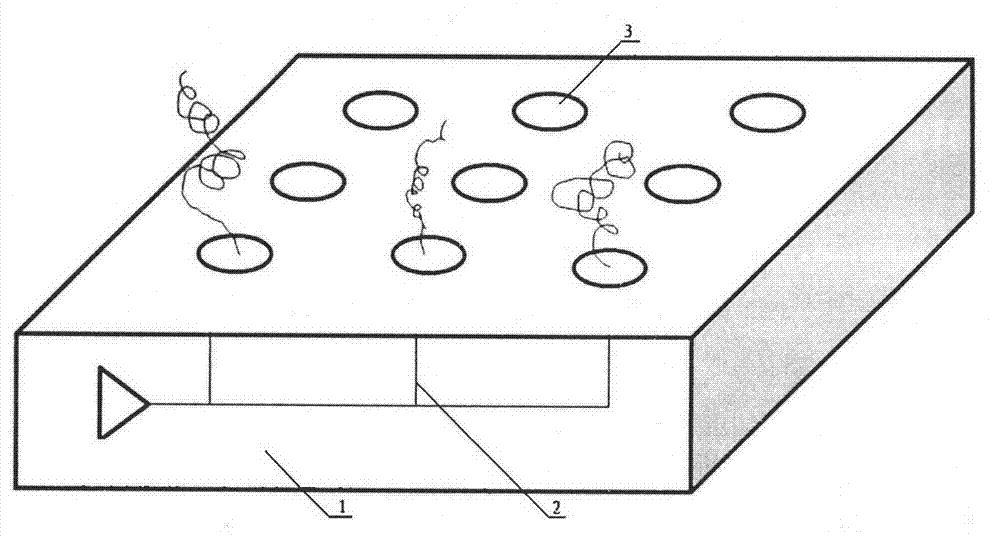 Method for preparing protein chip by in-situ synthesis