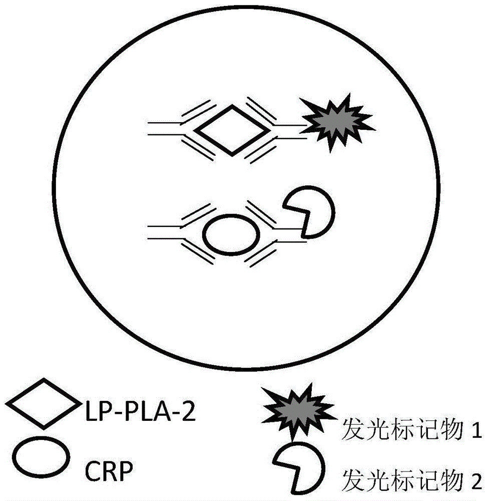 Kit of detecting the content of Lp-PLA2 and CRP on the basis of chemiluminescence, and method and application thereof