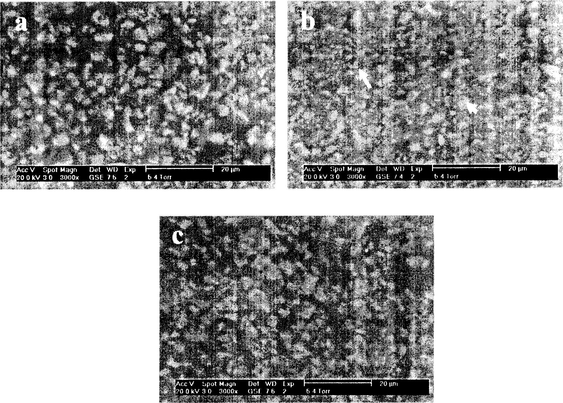 Root canal filling paste capable of being stored and injected