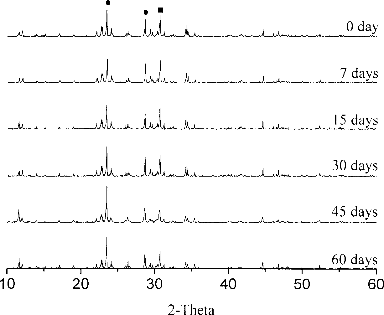 Root canal filling paste capable of being stored and injected