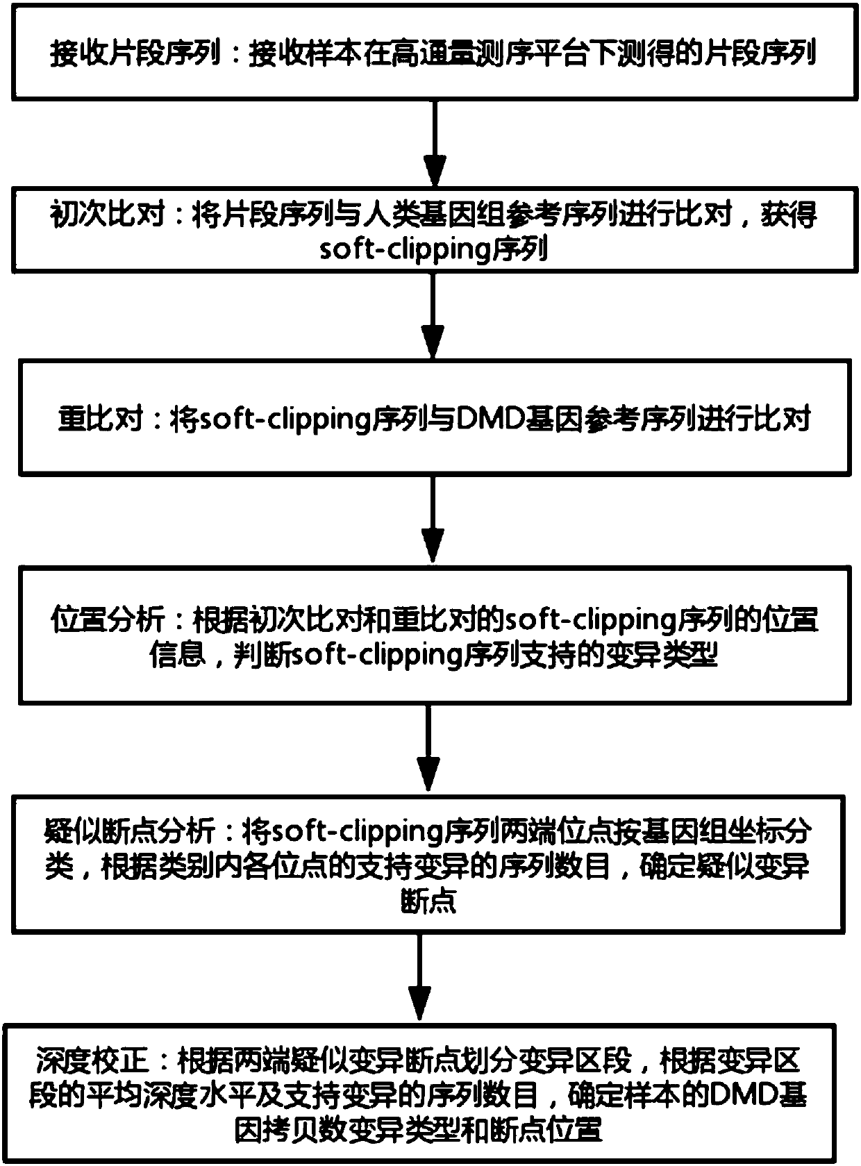 A method and system for accurately analyzing dmd gene structural variation breakpoints