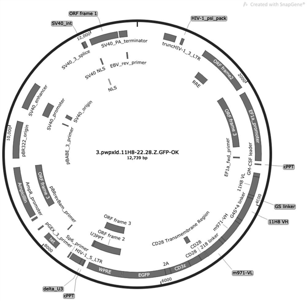 CD19 and CD22 dual-target chimeric antigen receptor and its application