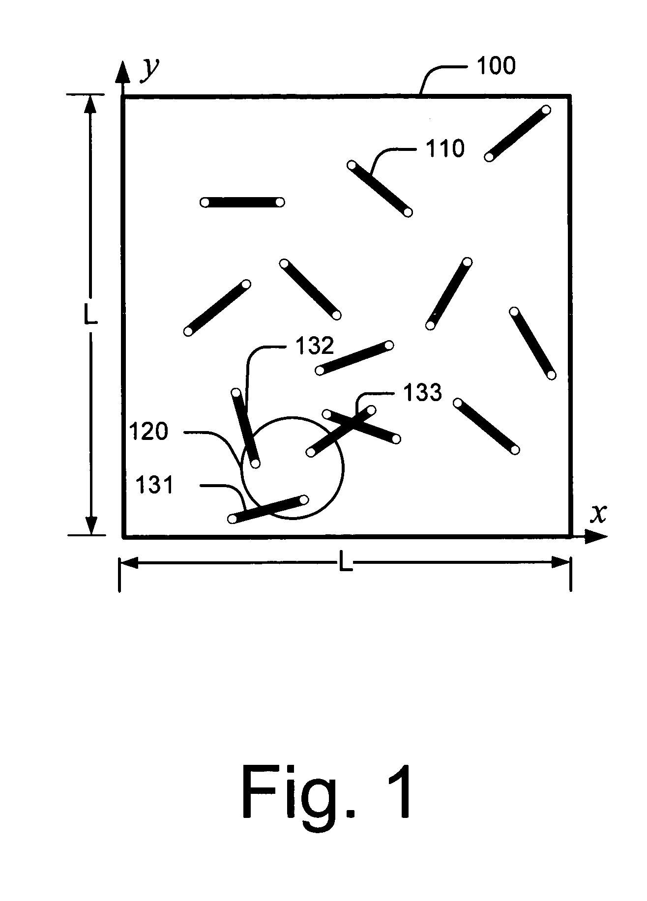 Systems and methods for encoding randomly distributed features in an object