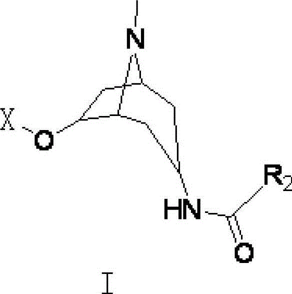 Tropinone derivative and its preparation method and application