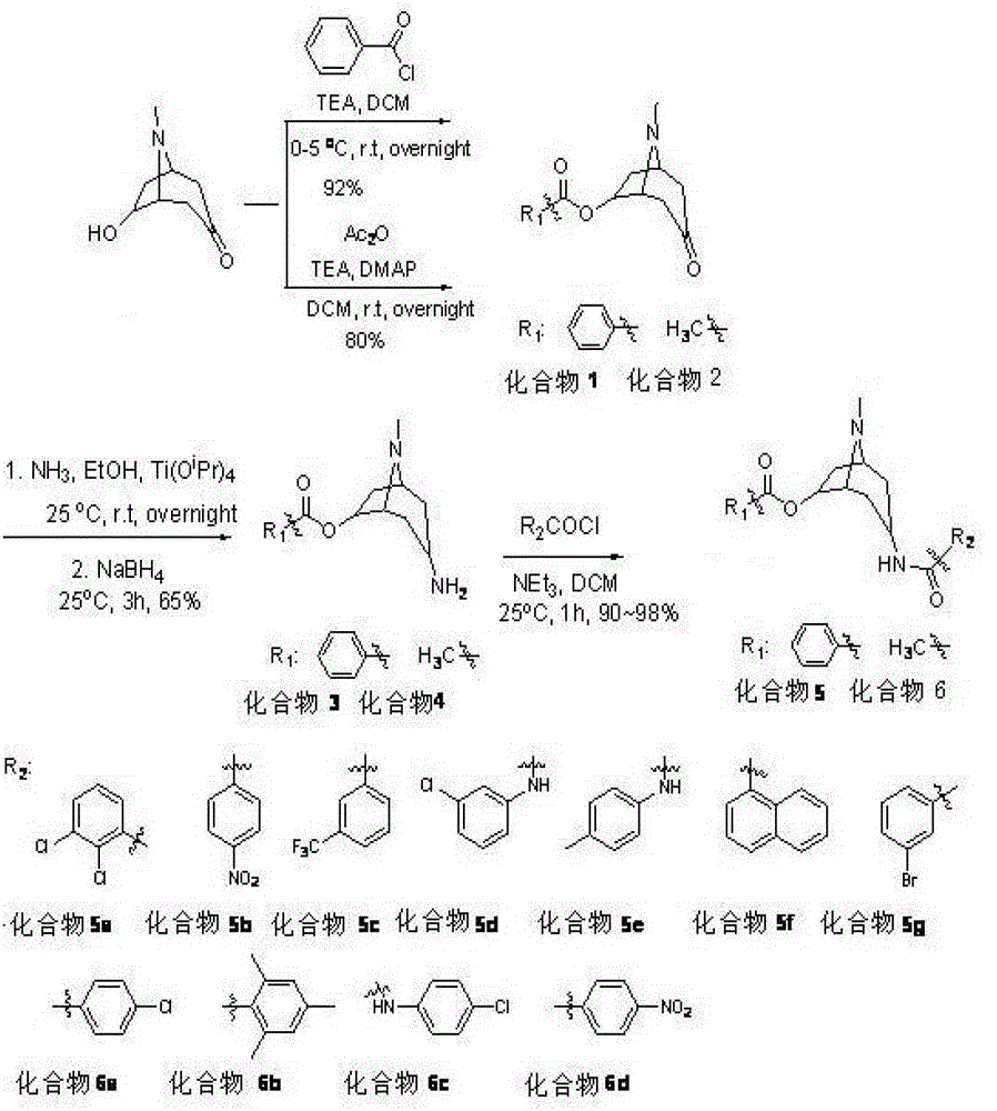 Tropinone derivative and its preparation method and application