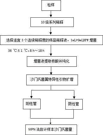 Rapid quantitative method for salmonellas in food based on MPN (most probable number) and PCR (polymerase chain reaction)