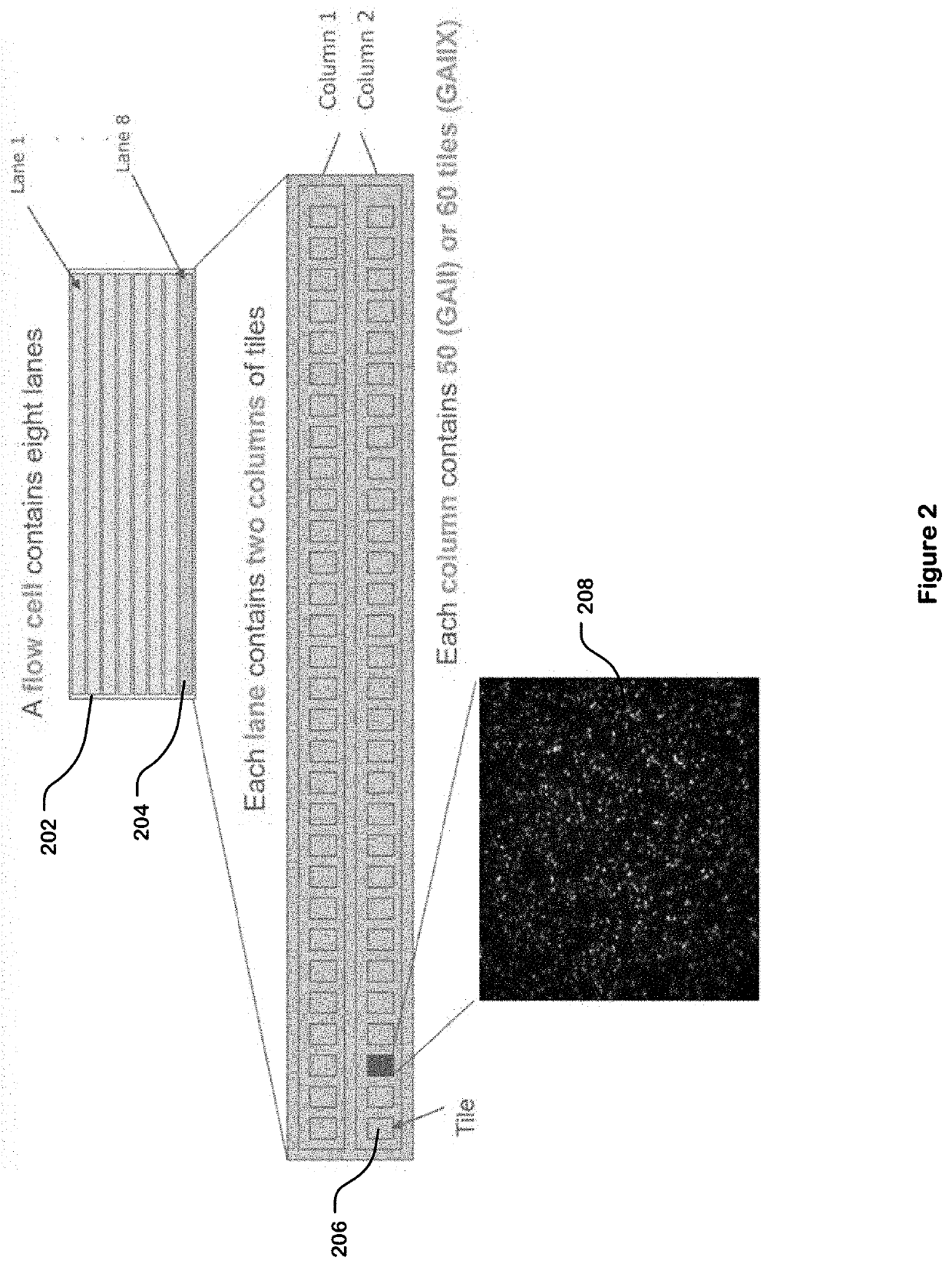 Training Data Generation for Artificial Intelligence-Based Sequencing