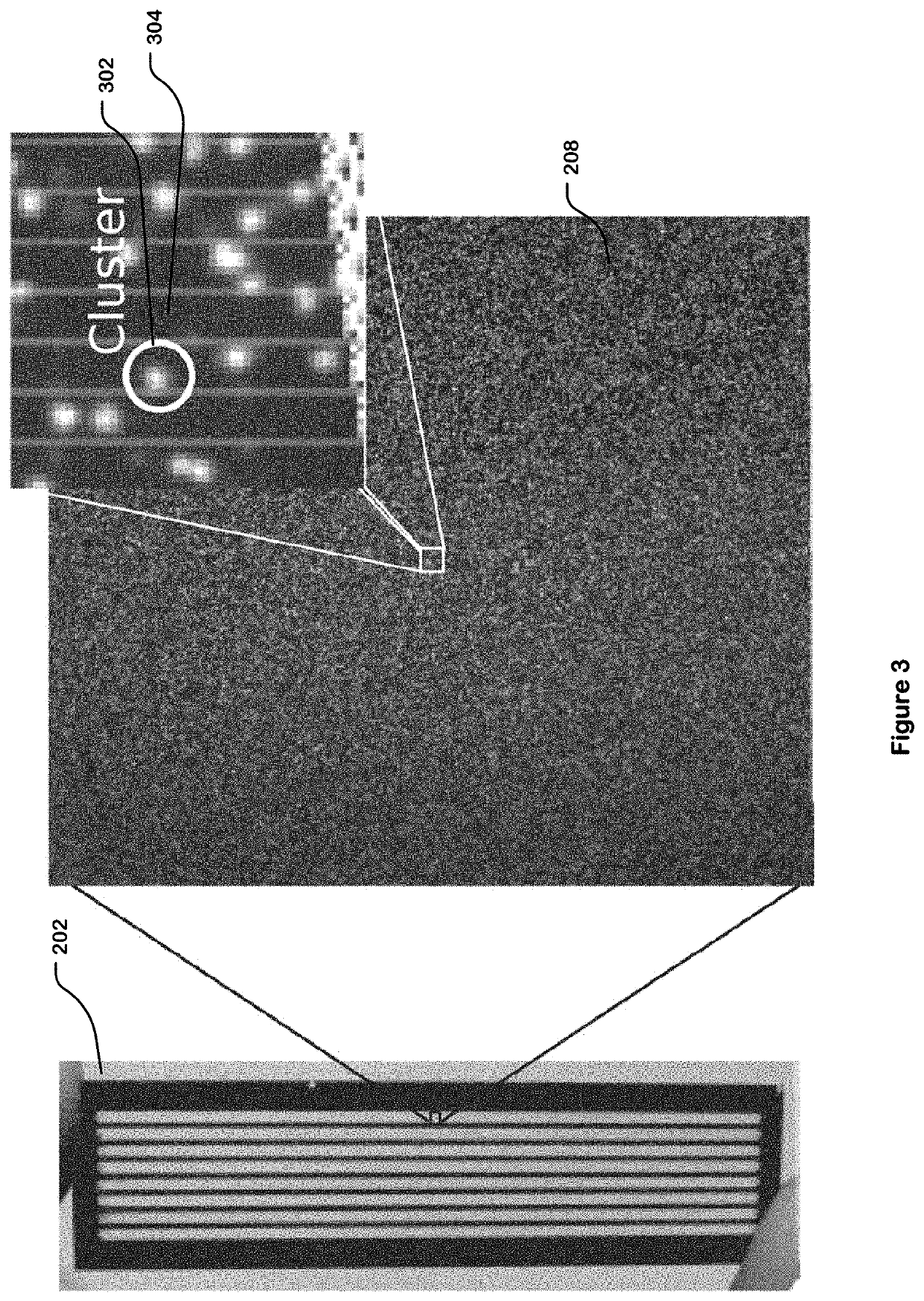 Training Data Generation for Artificial Intelligence-Based Sequencing