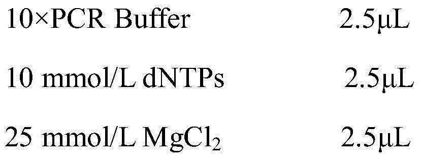 Molecular specific marker primers for sakura varieties including Superba and Grandifora