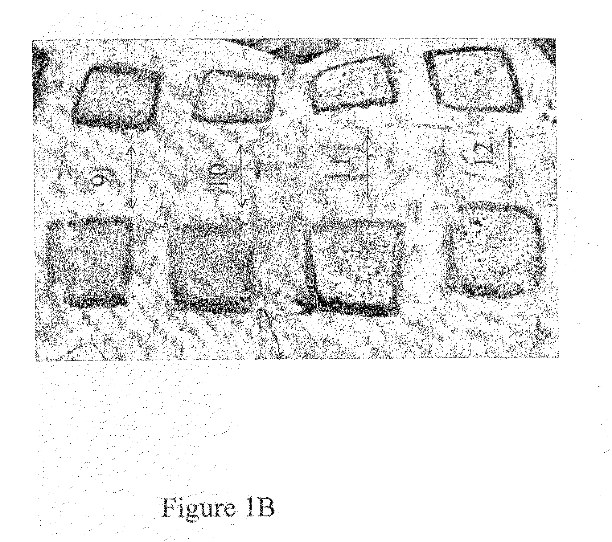 Compositions and methods for dermatological wound healing