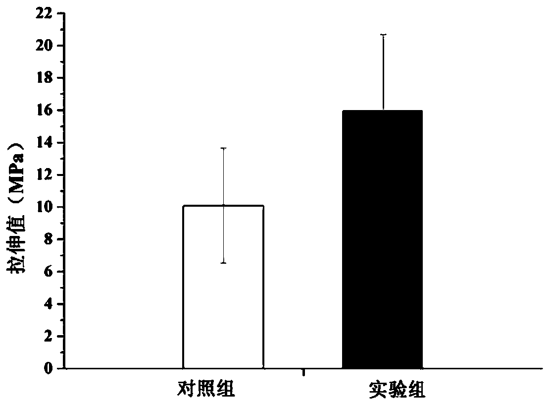 Pit and fissure sealant based on the concept of tooth surface hydrophobization