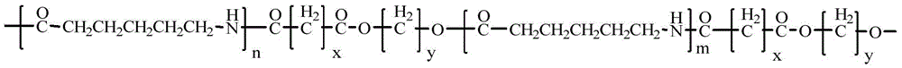 A kind of caprolactam hydrolysis polymer fiber and spinning method thereof