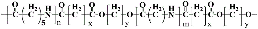 A kind of caprolactam hydrolysis polymer fiber and spinning method thereof