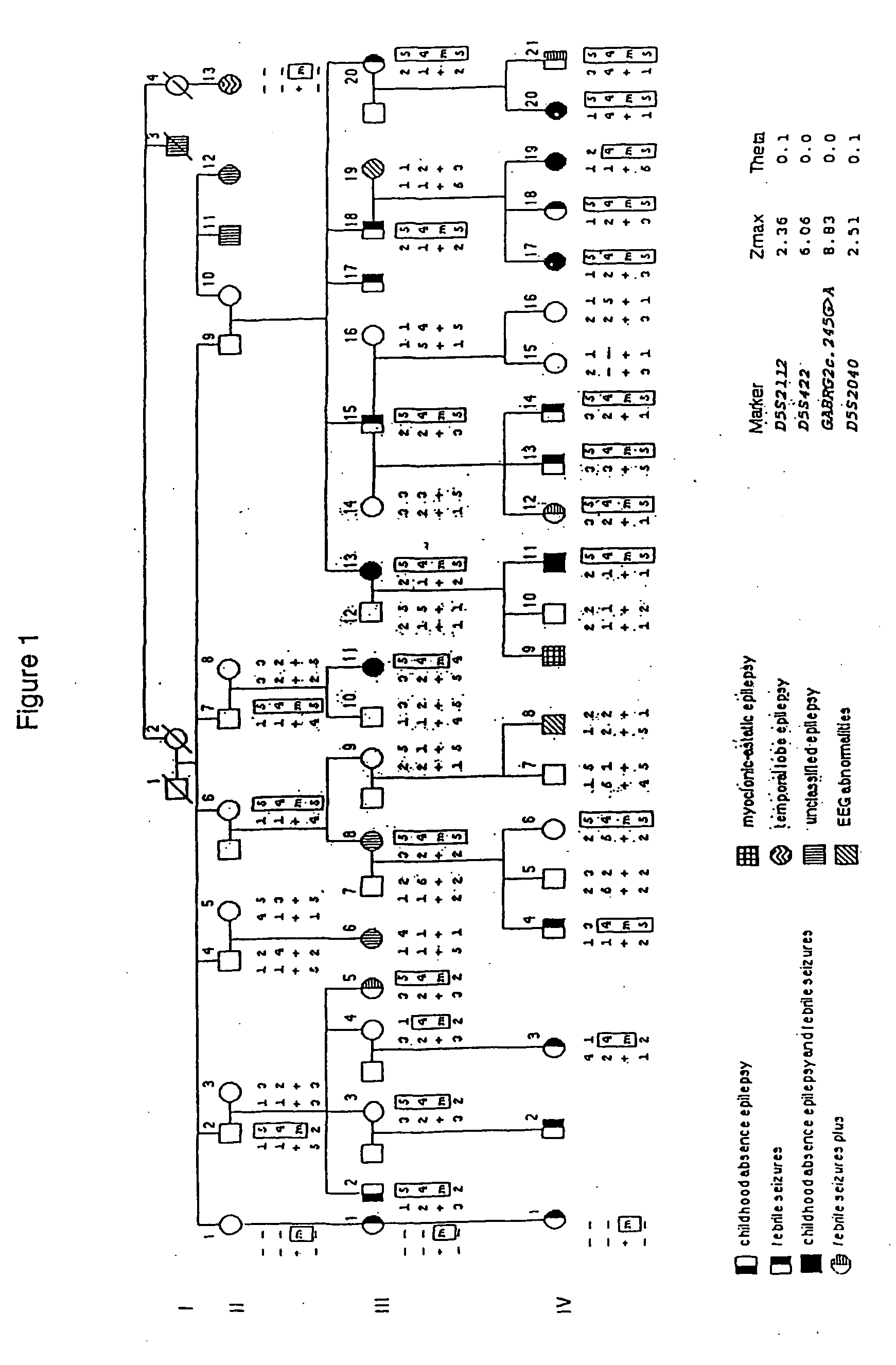 Mutation associated with epilepsy