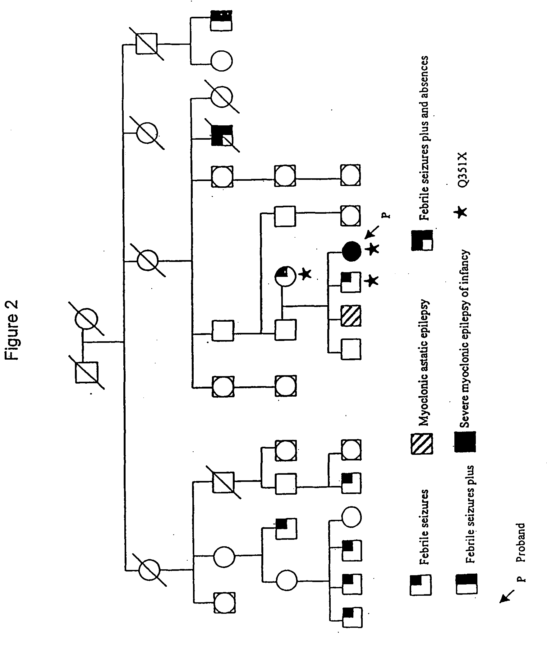 Mutation associated with epilepsy